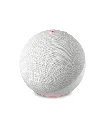 Echo Dot Alexa Echo_Dot_5ta_Gr .webp