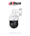 Cámara PTZ Dahua DH-SD49225DB-HNY IP 2MP WIZSENSE