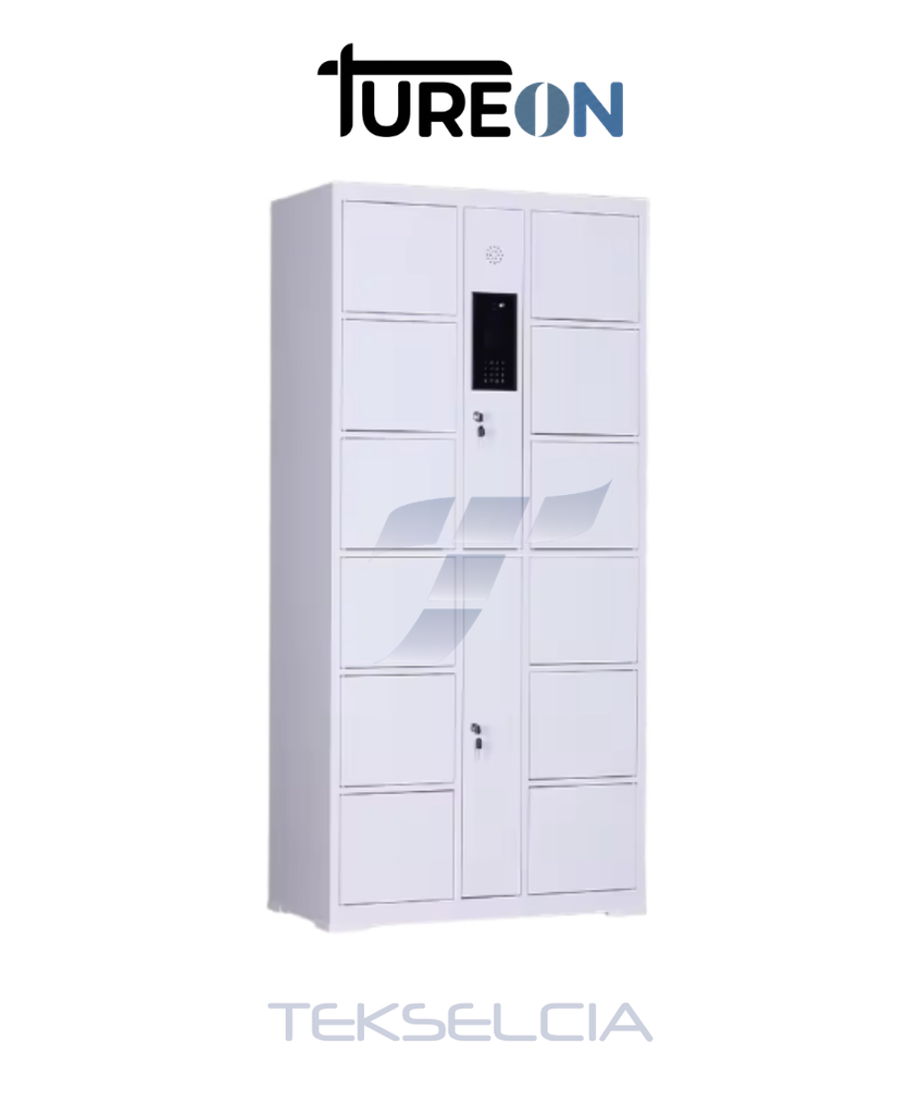 Main Locker Casillero Inteligente