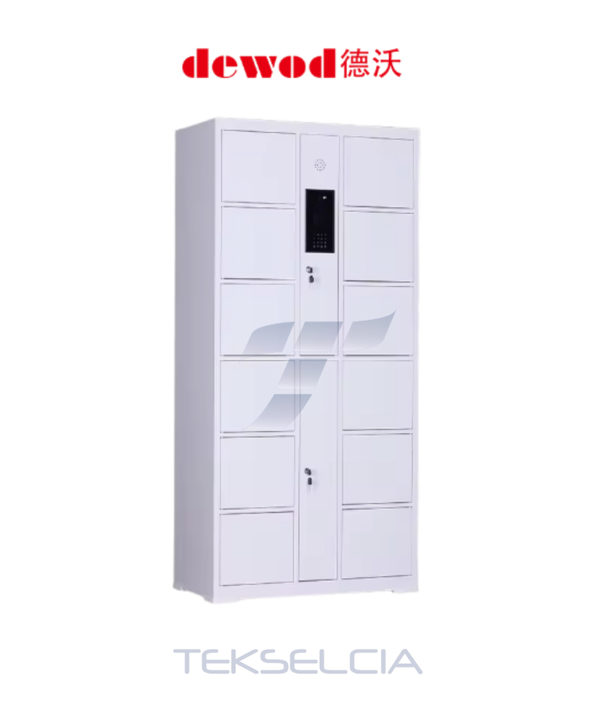 Main Locker Casillero Inteligente